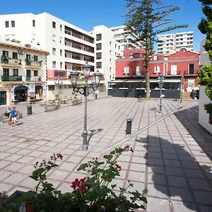 Monkó - Kiwi&tropycal O Torremolinos